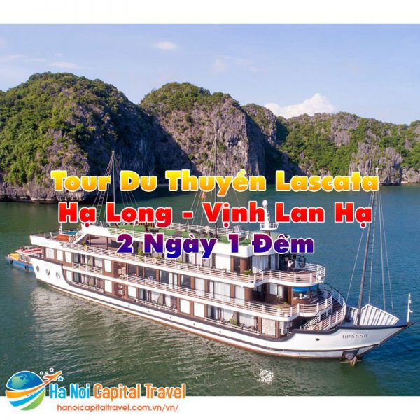 Tour 2 Ngày 1 Đêm Hạ Long - Vịnh Lan Hạ| Du Thuyền Lascata