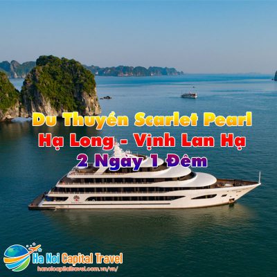 Tour 2 Ngày 1 Đêm Hạ Long - Vịnh Lan Hạ| Du Thuyền Scarlet Pearl