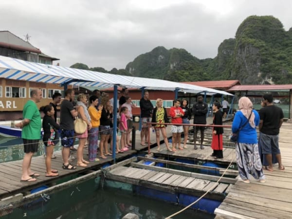 Visit Pearl Farm In Halong Bay With Cozy Bay Cruise 1 5 1